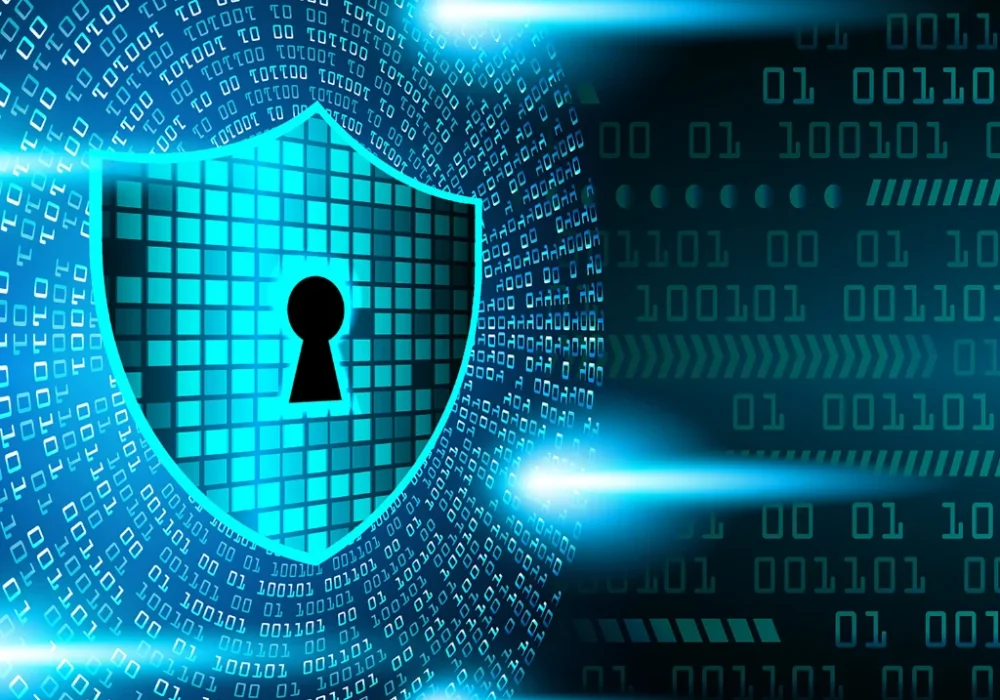 Information Security Services – Cybersecurity & Compliance Consultancy in UAE | Processa Inc